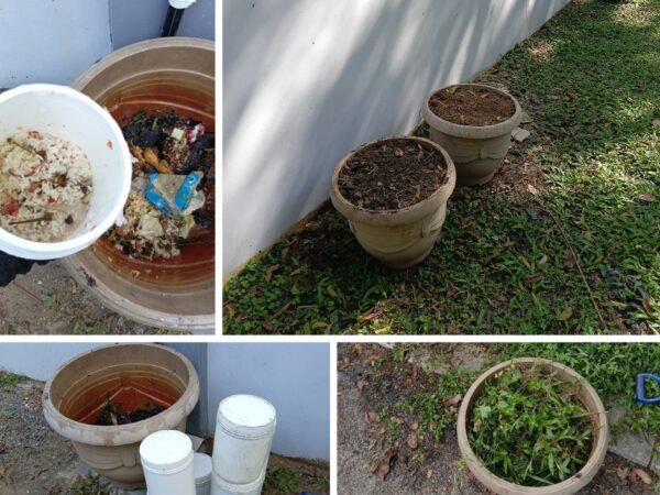 Kompos Sisa Makanan Kurangkan Pemanasan Global