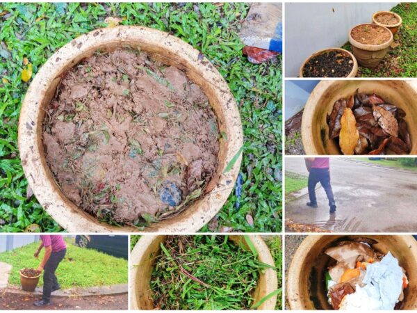 Membuat Kompos Pasu: Langkah Mudah dan Bermanfaat