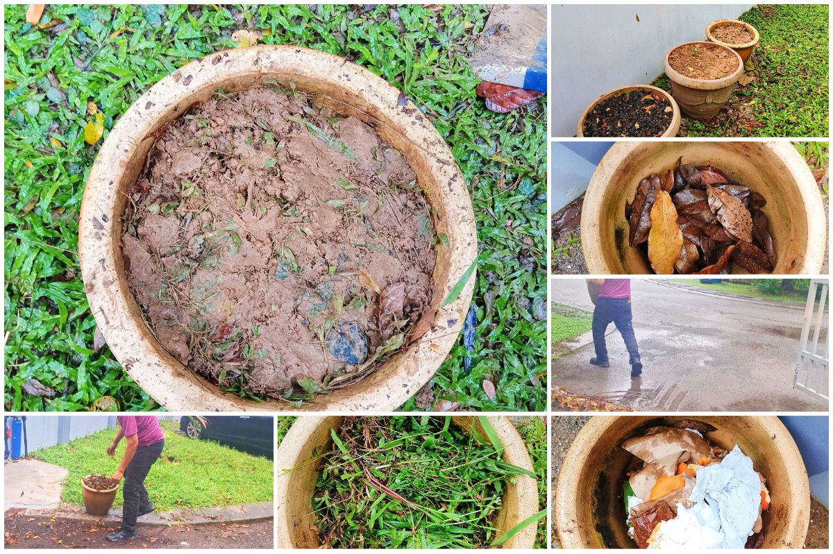 Membuat Kompos Pasu: Langkah Mudah dan Bermanfaat