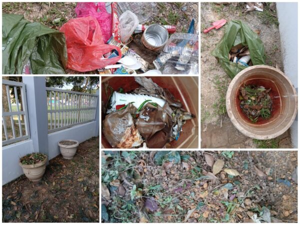 Sisa Makanan Jadi Baja: Penyelesaian Mesra Alam untuk Tanah Subur