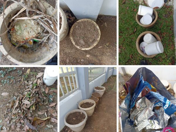 Asing Sisa Jadi Baja: Langkah Hijau di PAWE Setia Alam