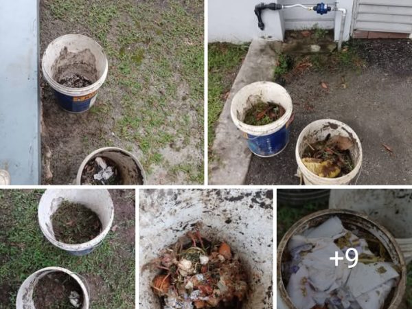 Kompos Dari Kepala Ayam