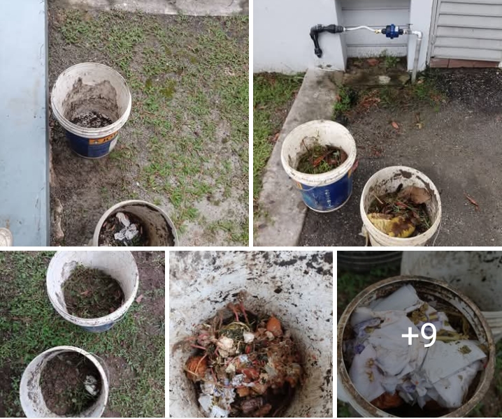 Kompos Dari Kepala Ayam