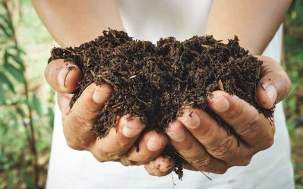 Tong Cat, Matahari Panas & Sisa Harian: Cara Mudah Wujudkan Komuniti Kompos di Setia Alam