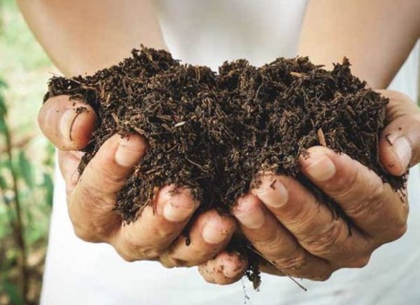 Tong Cat, Matahari Panas & Sisa Harian: Cara Mudah Wujudkan Komuniti Kompos di Setia Alam