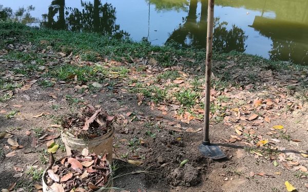 Mentransformasi Sisa Makanan Menjadi Emas Hitam di Sungai Setia Indah 11, Setia Alam