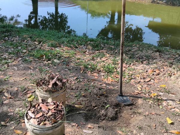 Mentransformasi Sisa Makanan Menjadi Emas Hitam di Sungai Setia Indah 11, Setia Alam