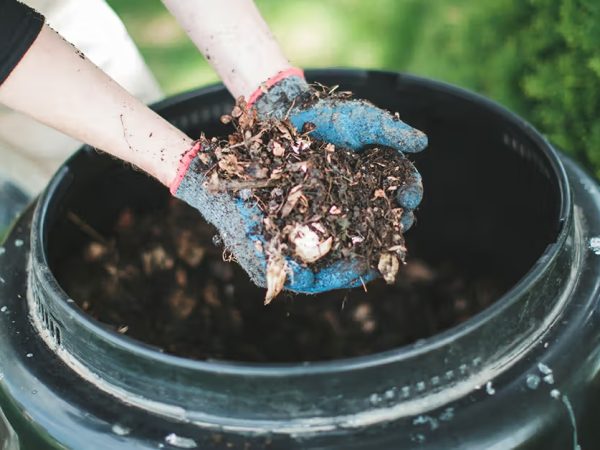 Plogging Sambil Kompos: Gaya Hidup Lestari Komuniti Setia Alam