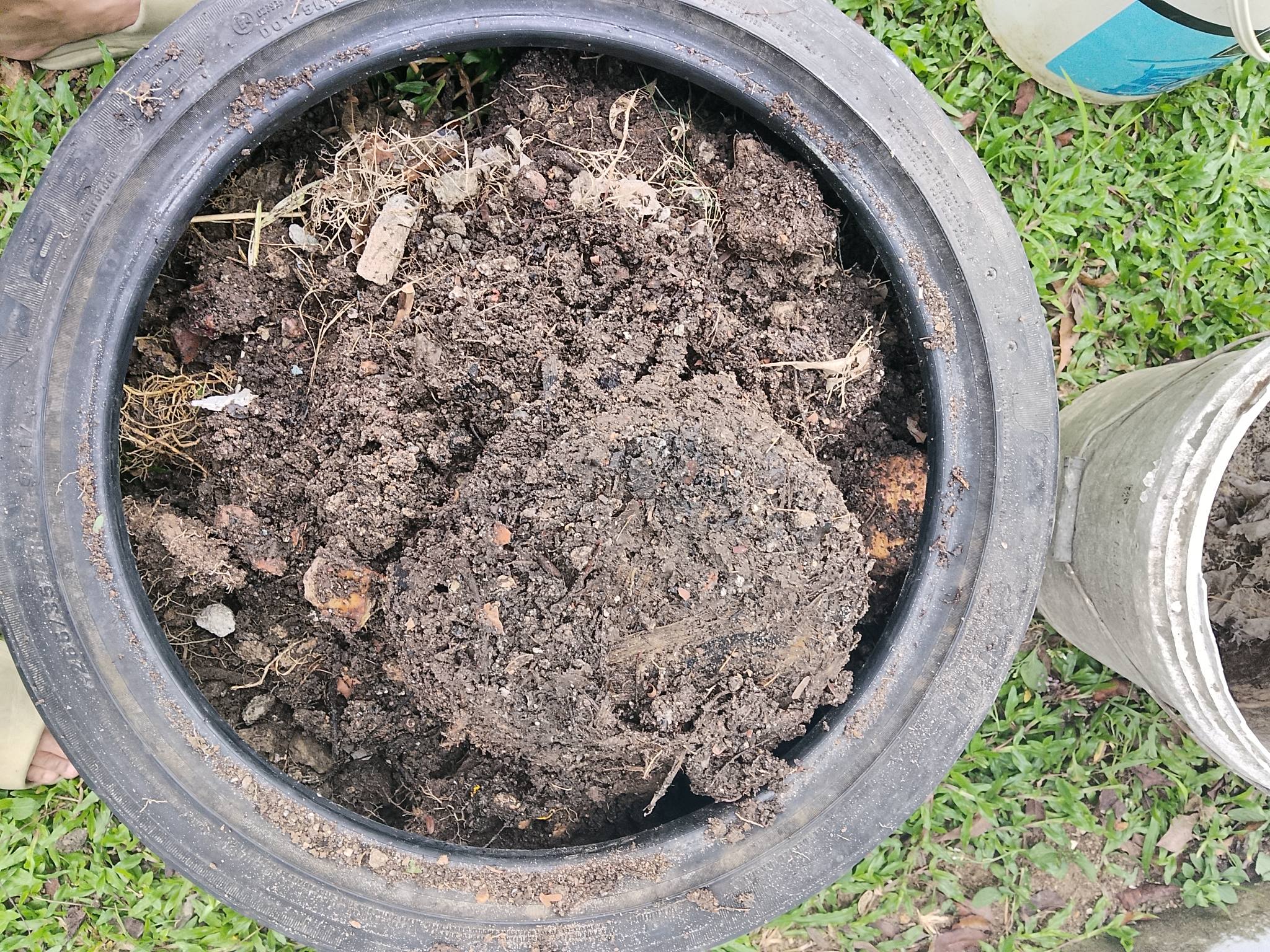 Integrasi Tayar Terpakai dan Tong Cat dalam Pertanian Bandar